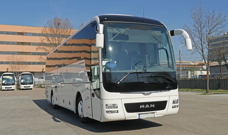 Saxony-Anhalt: Buses operator in Halle (Saale) in Halle (Saale) and Germany