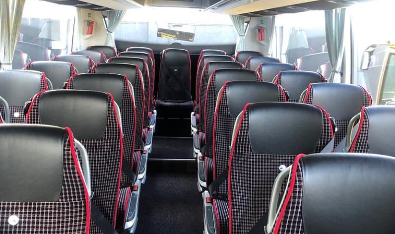 Germany: Coach booking in Saxony in Saxony and Leipzig